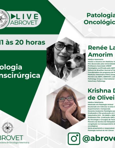 Live ABROVET 24-11-2020 Patologia Oncológica Veterinária