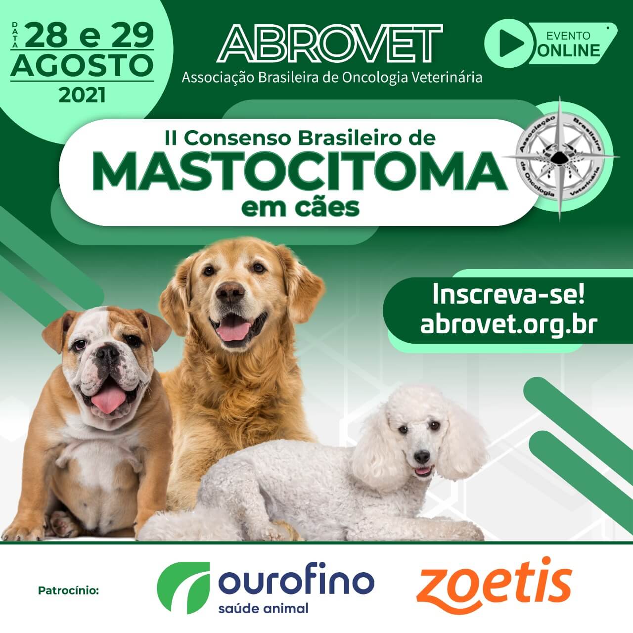 Flyer Consenso Mastocitoma em cães ABROVET patrocinadores
