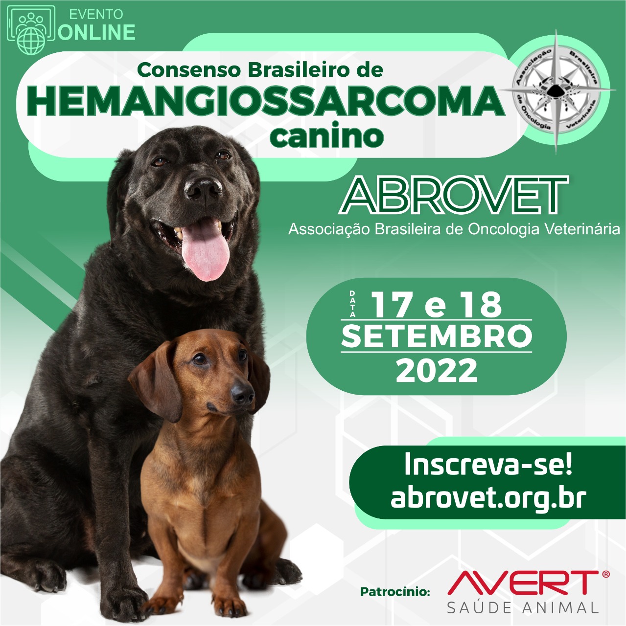 Consenso Brasileiro de Hemangiossarcoma Canino