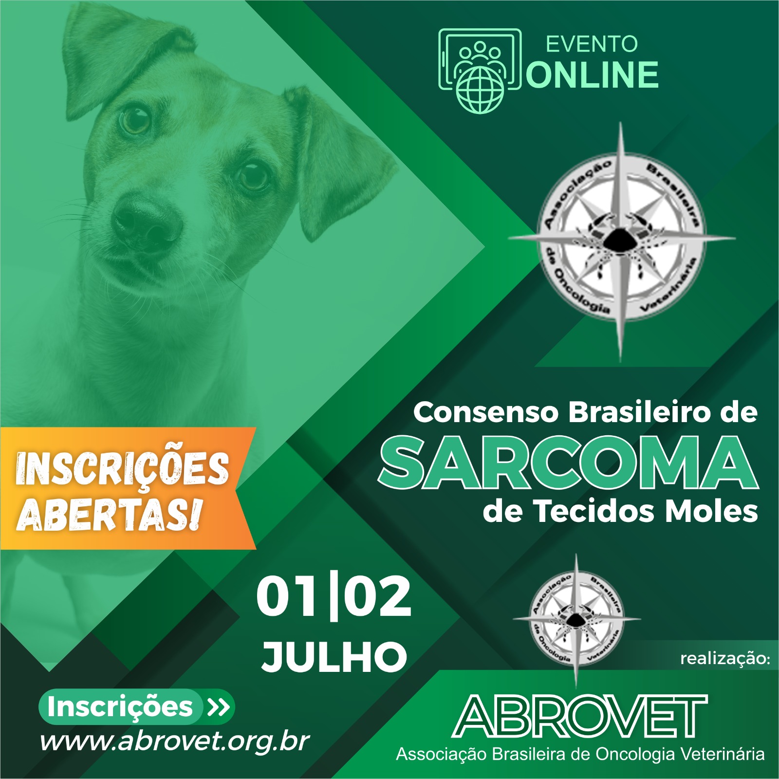 Consenso Brasileiro de Hemangiossarcoma Canino